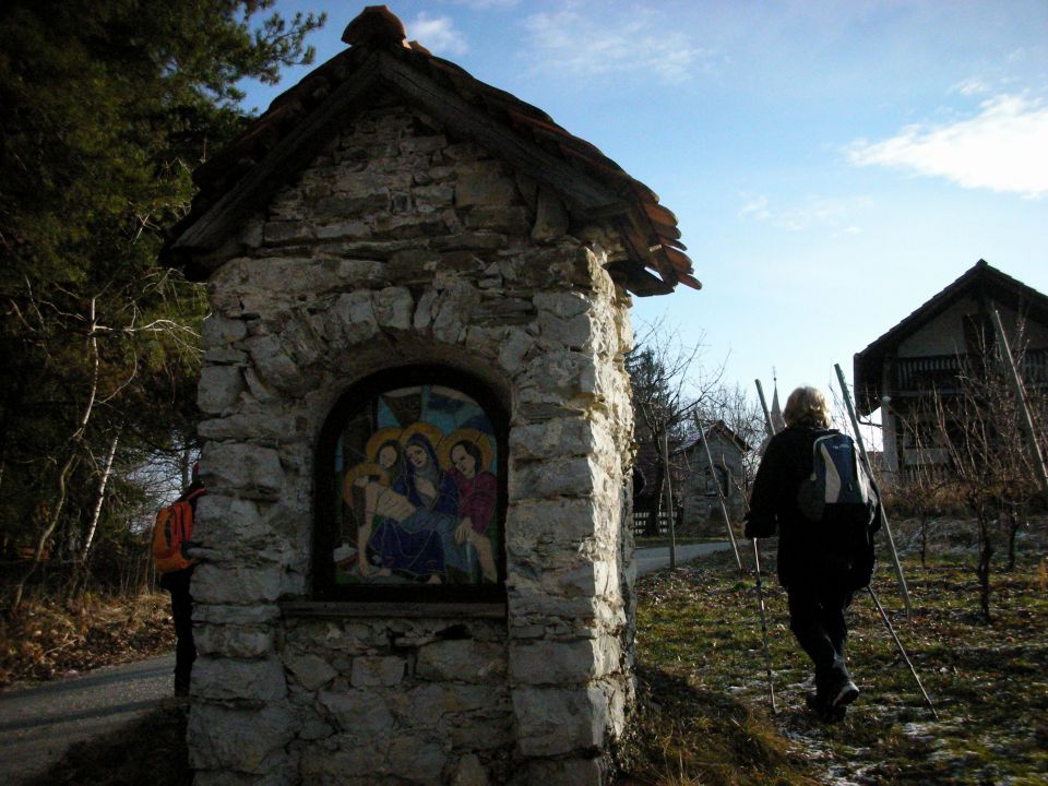 26.1.2011 Topolovec - foto povečava