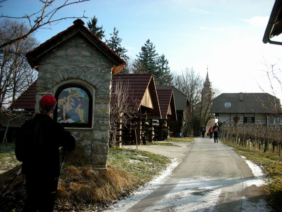 26.1.2011 Topolovec - foto povečava