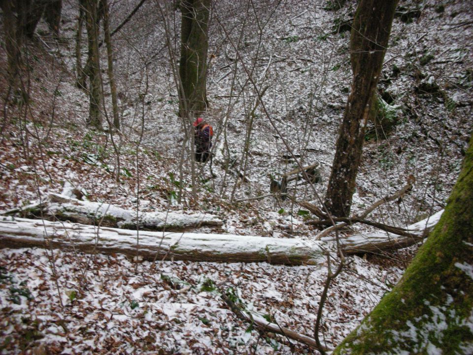 26.1.2011 Topolovec - foto povečava