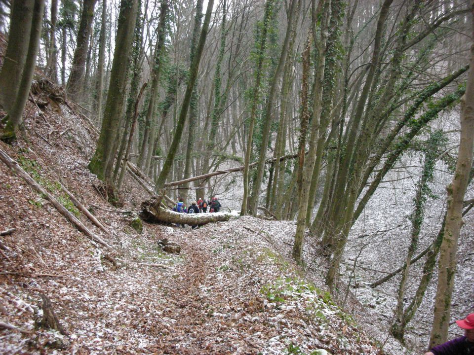 26.1.2011 Topolovec - foto povečava