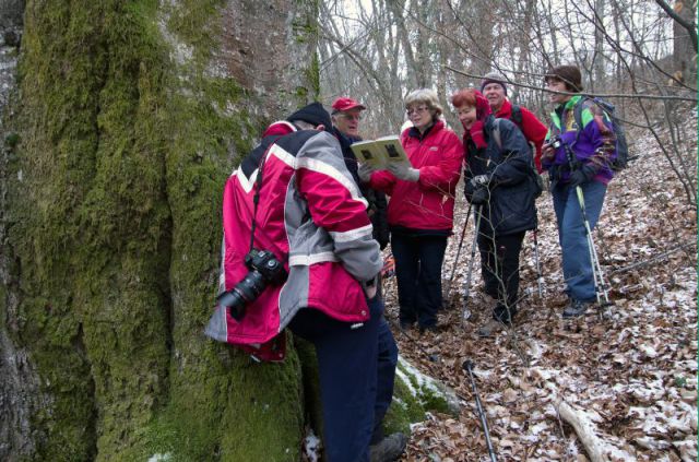 Sp. in Zg. Impolje,Primož 2.2.2011 - foto