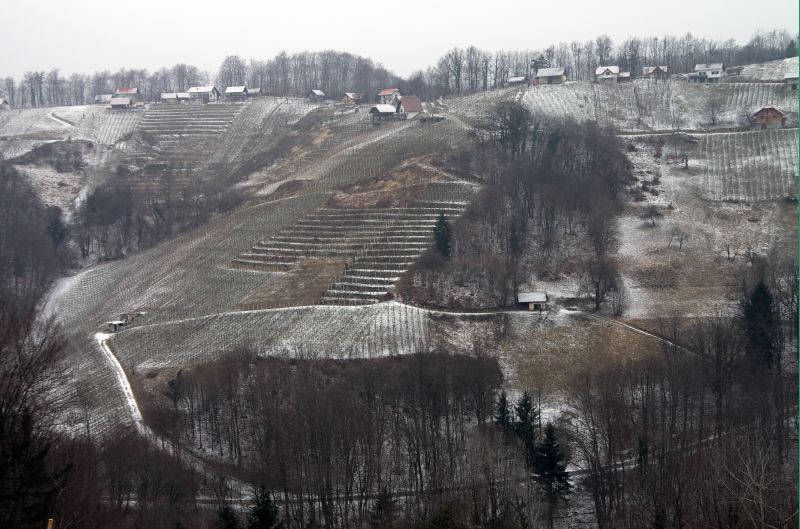 Sp. in Zg. Impolje,Primož 2.2.2011 - foto povečava