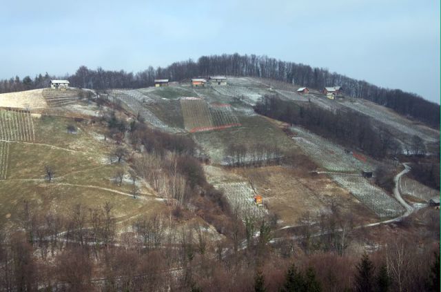 Sp. in Zg. Impolje,Primož 2.2.2011 - foto