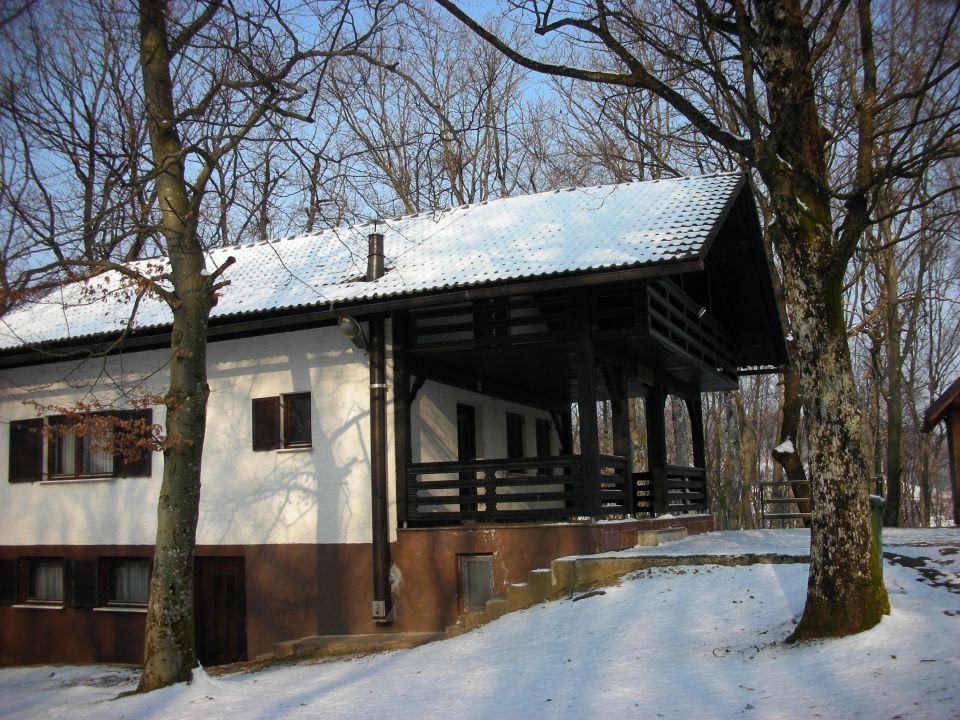 Zavratec,Studenec 23.2.11 - foto povečava