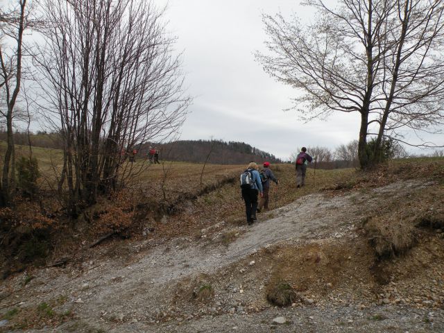 Petelinčki na Jelšah in slap Bojanca 6.4.2011 - foto