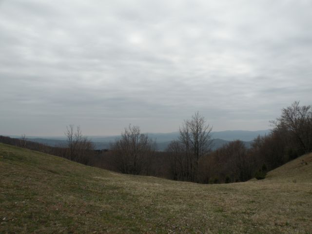 Petelinčki na Jelšah in slap Bojanca 6.4.2011 - foto