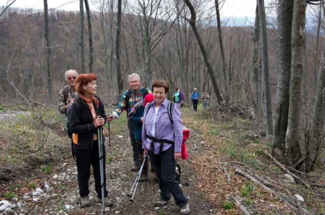 Petelinčki na Jelšah in slap Bojanca 6.4.2011 - foto