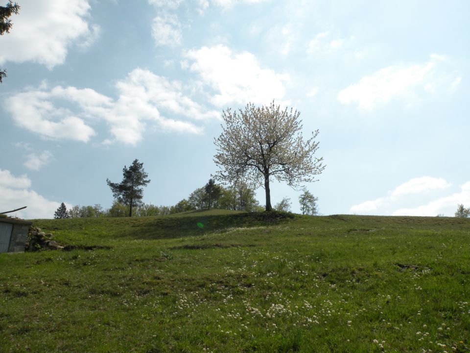 19.4.11 Zavrate - foto povečava