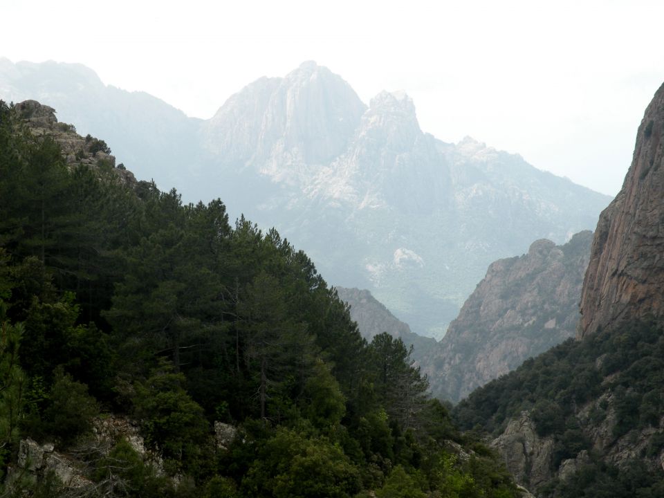 Korzika,Sardinija 15.5.2011 - foto povečava