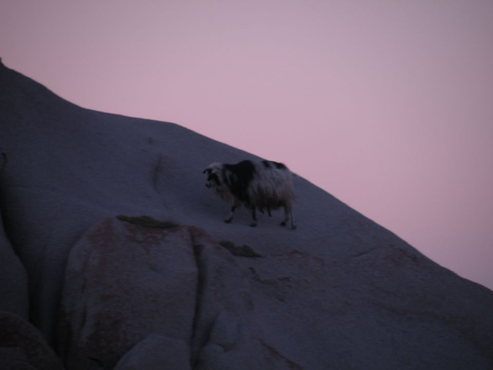 Korzika, Sardinija 17.5.2011 - foto povečava