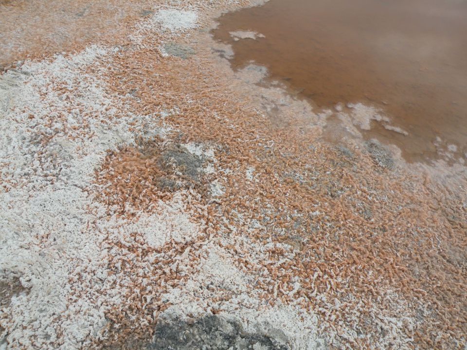 Korzika, Sardinija 19.5.2011 - foto povečava