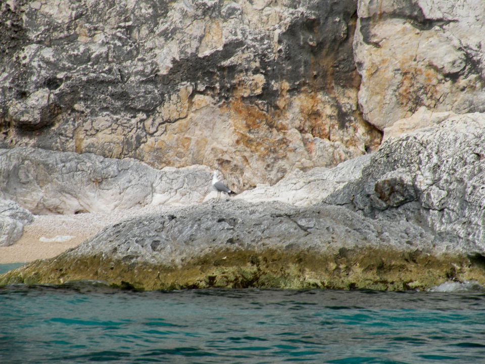 Korzika, Sardinija 21.5.2011 - foto povečava