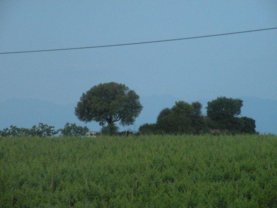 Korzika,Sardinija 24.5.2011 - foto povečava