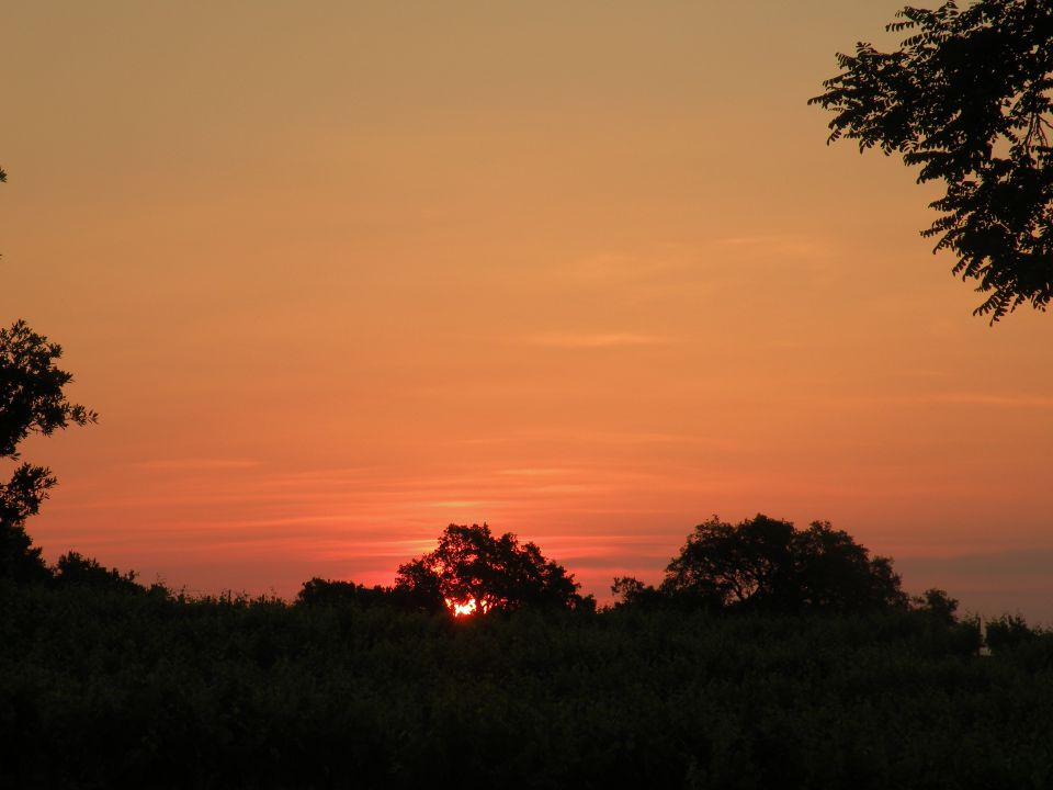 Korzika,Sardinija 24.5.2011 - foto povečava