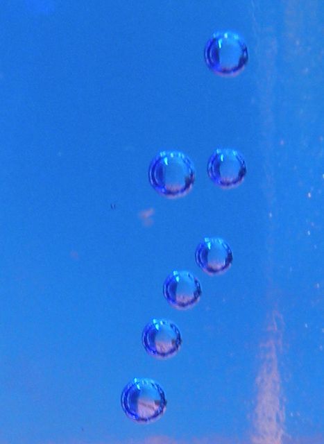 Osončena voda , če je v vijolični steklenici, vsaj modri, še toliko boljša.