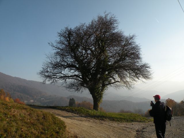 17.11.2011 Orehovec  - foto