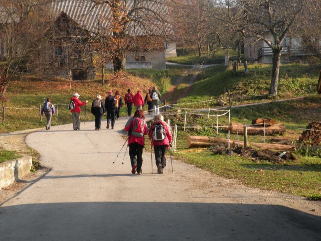 17.11.2011 Orehovec  - foto