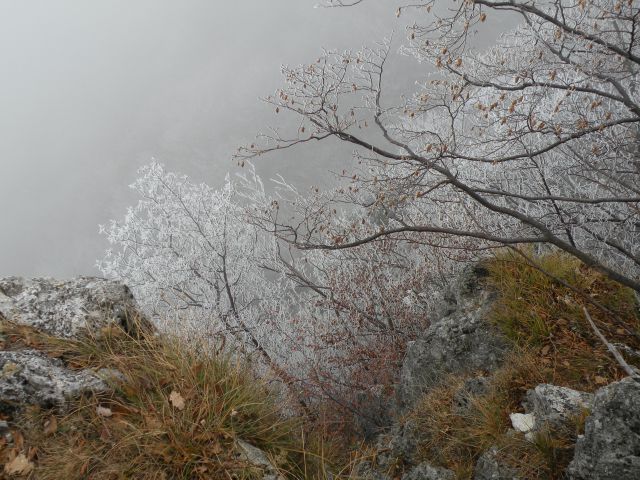 Z Vinkom na Podgorje in Njivice