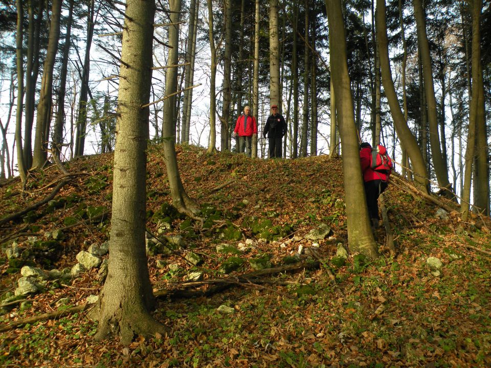 Rudenik 7.12.2011 - foto povečava