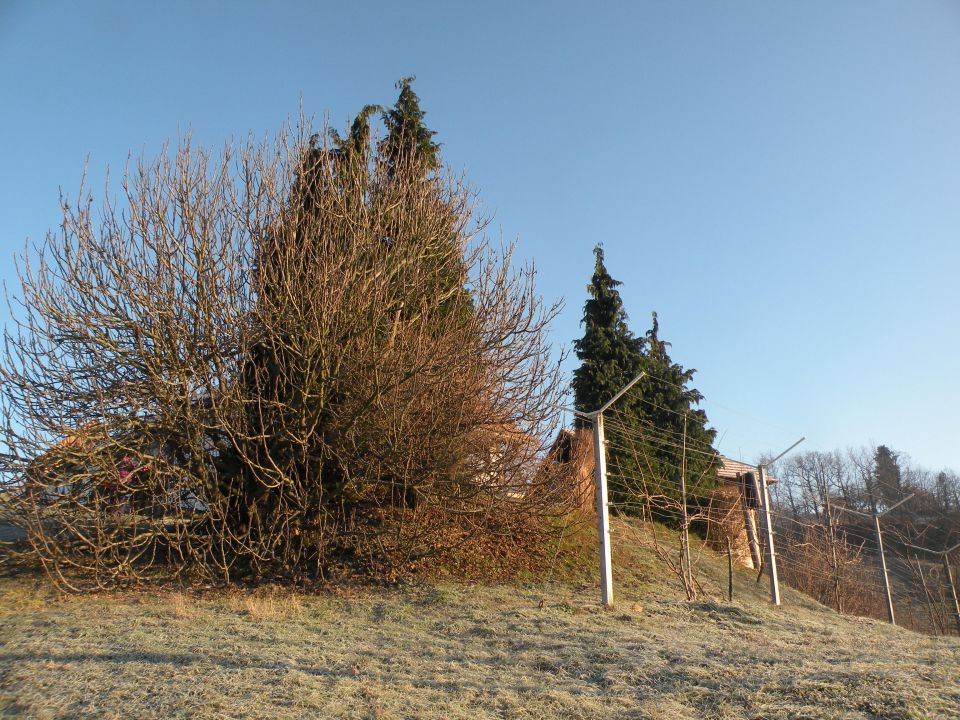 23.12.11 Zajčja gora - foto povečava