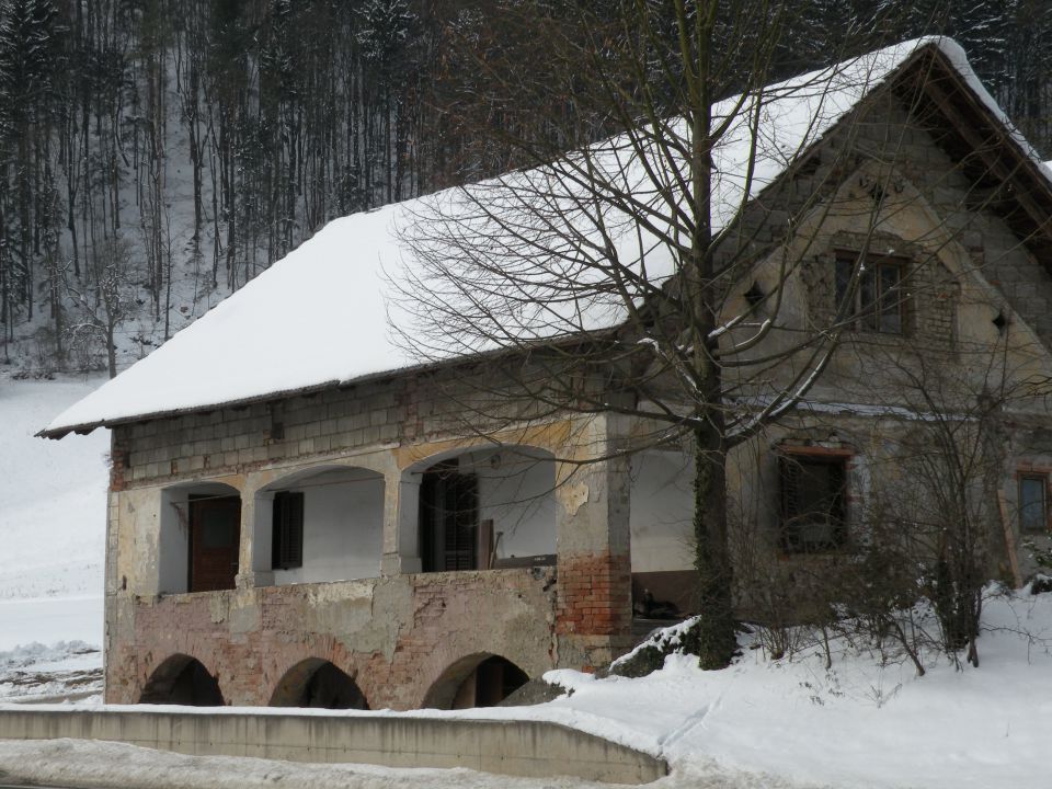 Vinko k .log - foto povečava