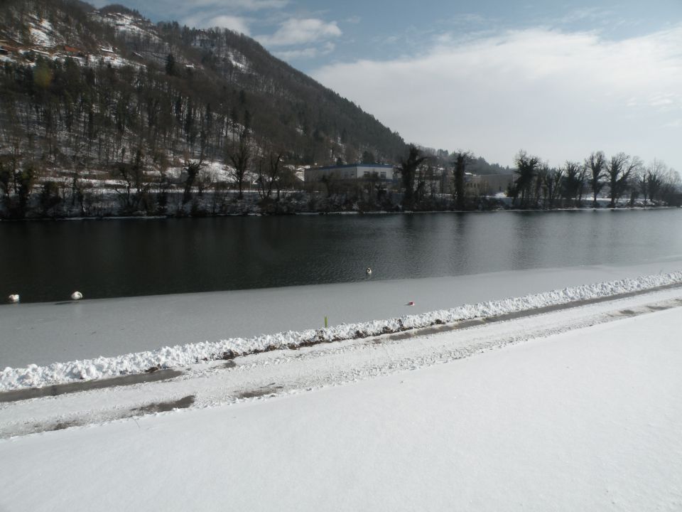 Vinko k .log - foto povečava