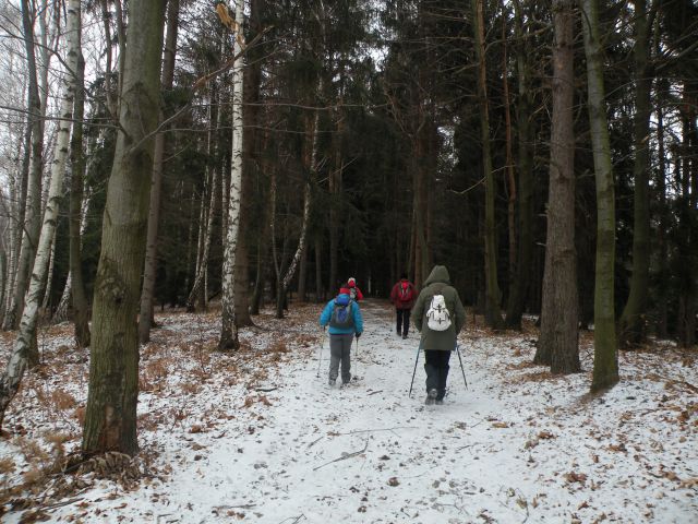 žabjek 1.2.12 - foto