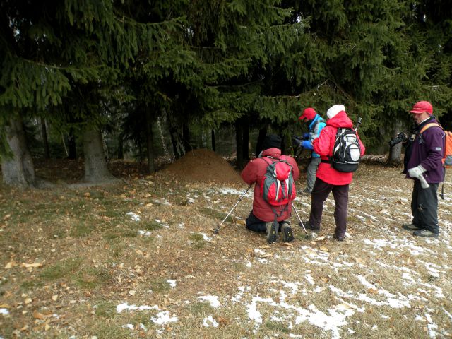 žabjek 1.2.12 - foto