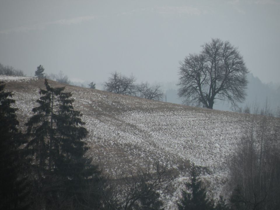 žabjek 1.2.12 - foto povečava