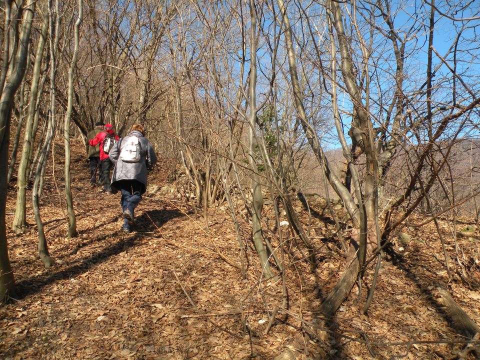 Orešje ned Sevnico 29.2.2012 - foto povečava