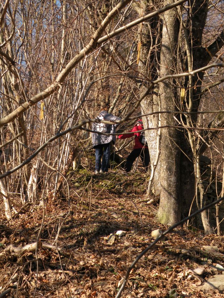 Orešje ned Sevnico 29.2.2012 - foto povečava