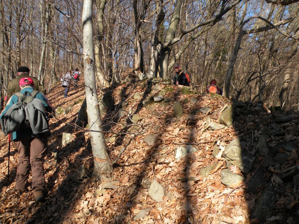 Orešje ned Sevnico 29.2.2012 - foto povečava