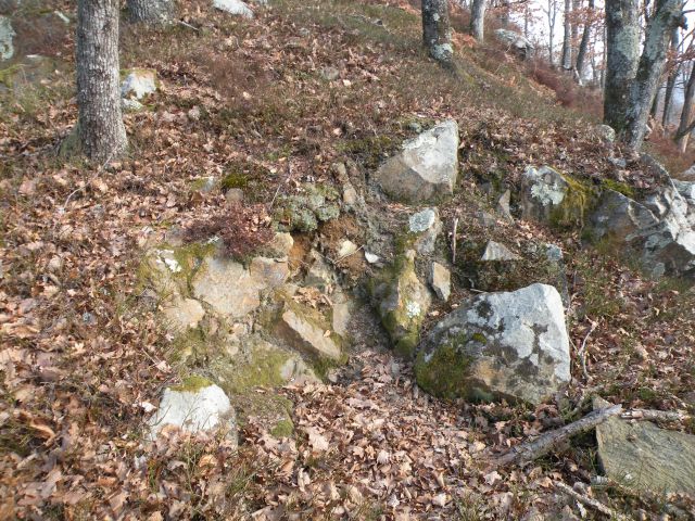 Orešje ned Sevnico 29.2.2012 - foto