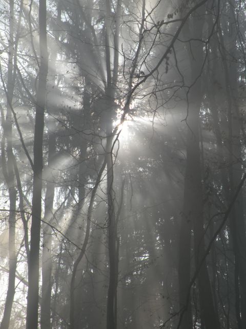 Čagoški potok, Ponikve pri Studencu - foto