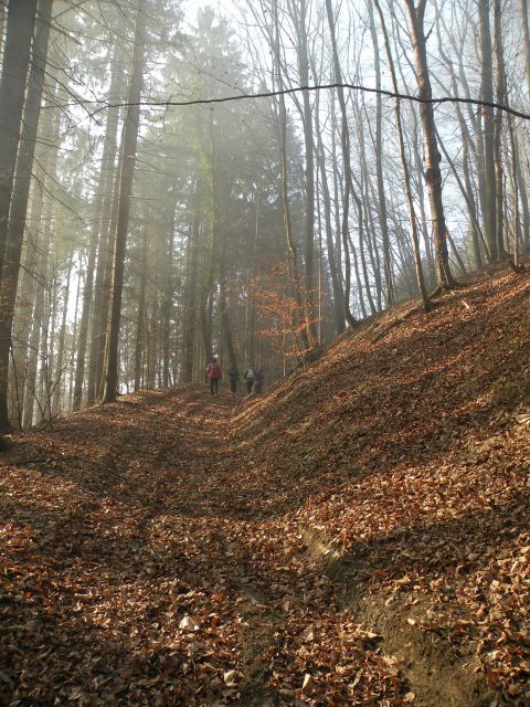 Čagoški potok, Ponikve pri Studencu - foto