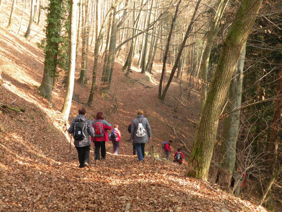 Čagoški potok, Ponikve pri Studencu - foto povečava