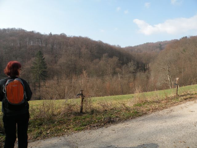 Čagoški potok, Ponikve pri Studencu - foto