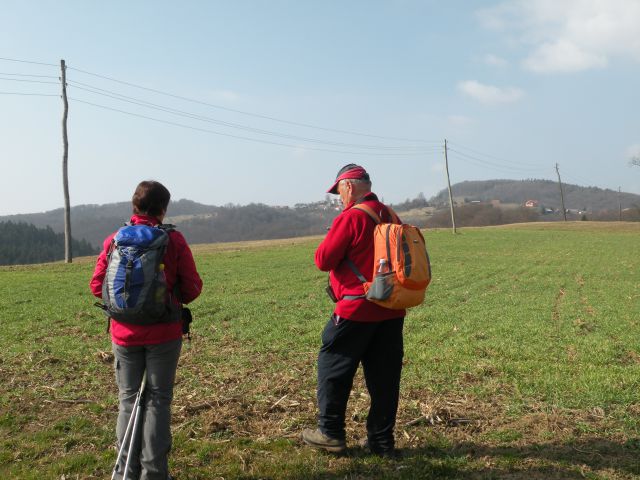 Čagoški potok, Ponikve pri Studencu - foto