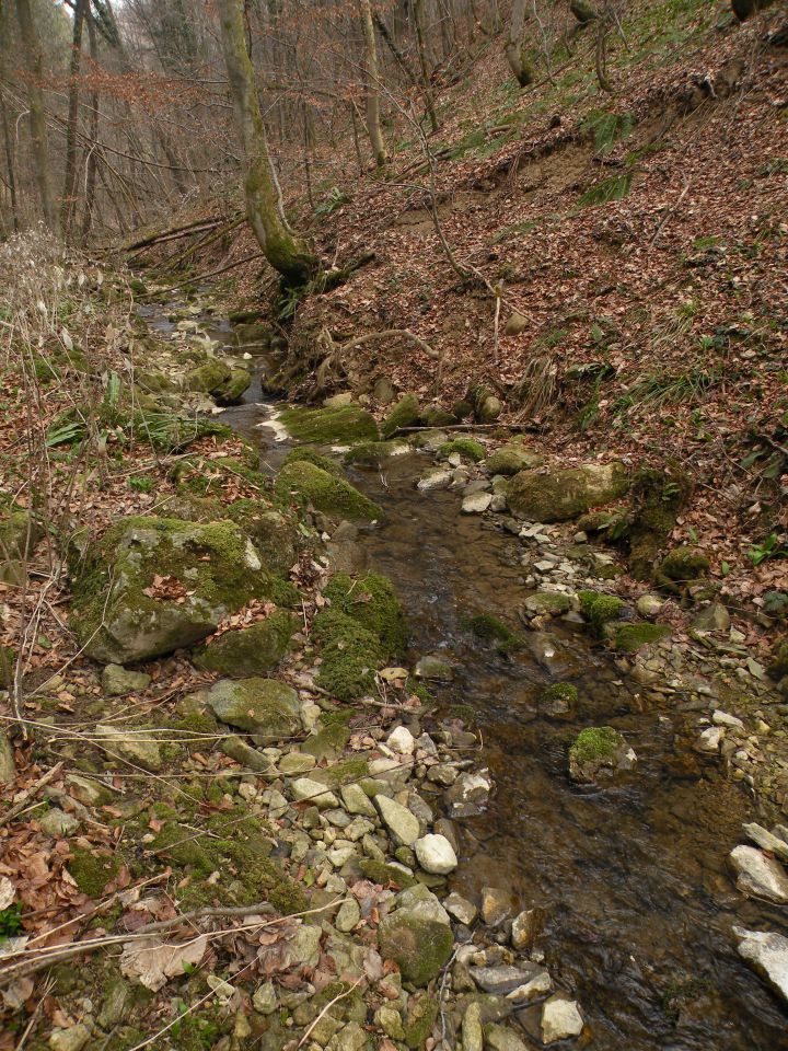 Čagoški potok, Ponikve pri Studencu - foto povečava