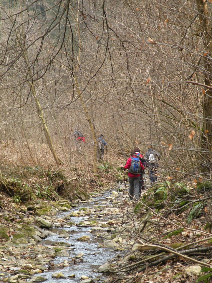 Čagoški potok, Ponikve pri Studencu - foto povečava