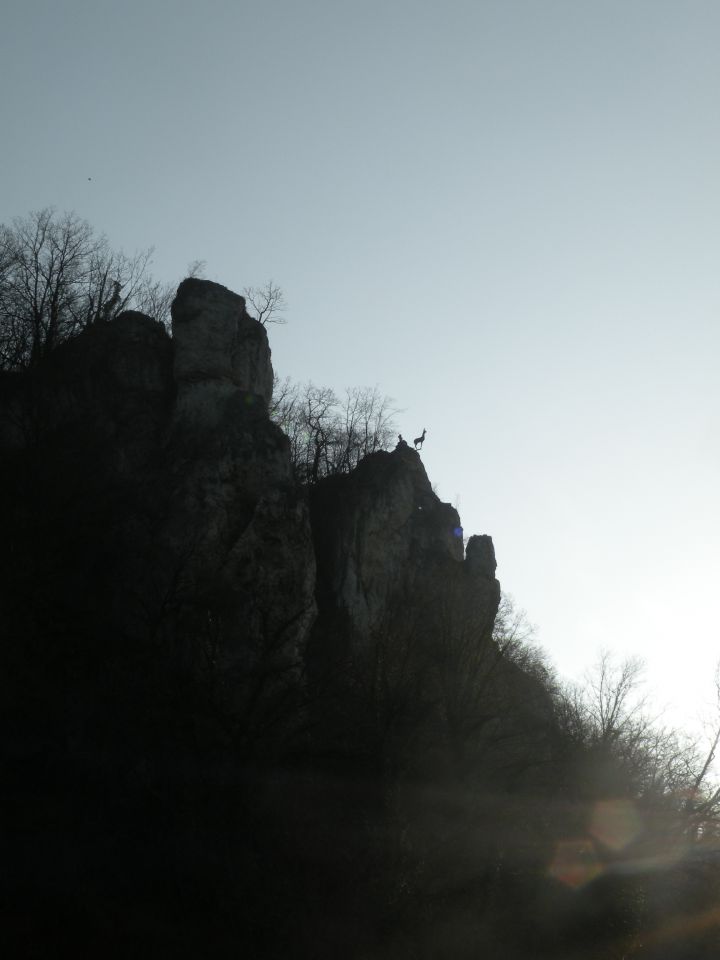 Vrtača, Pečje 28.3.12 - foto povečava