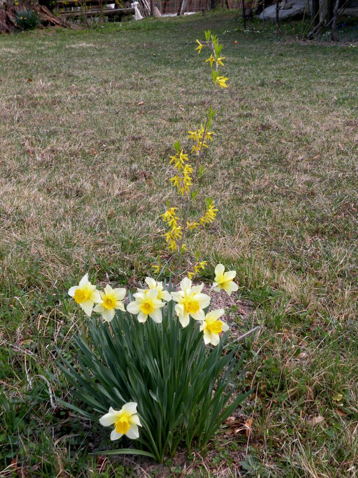 Laze 5.4.2012 - foto povečava