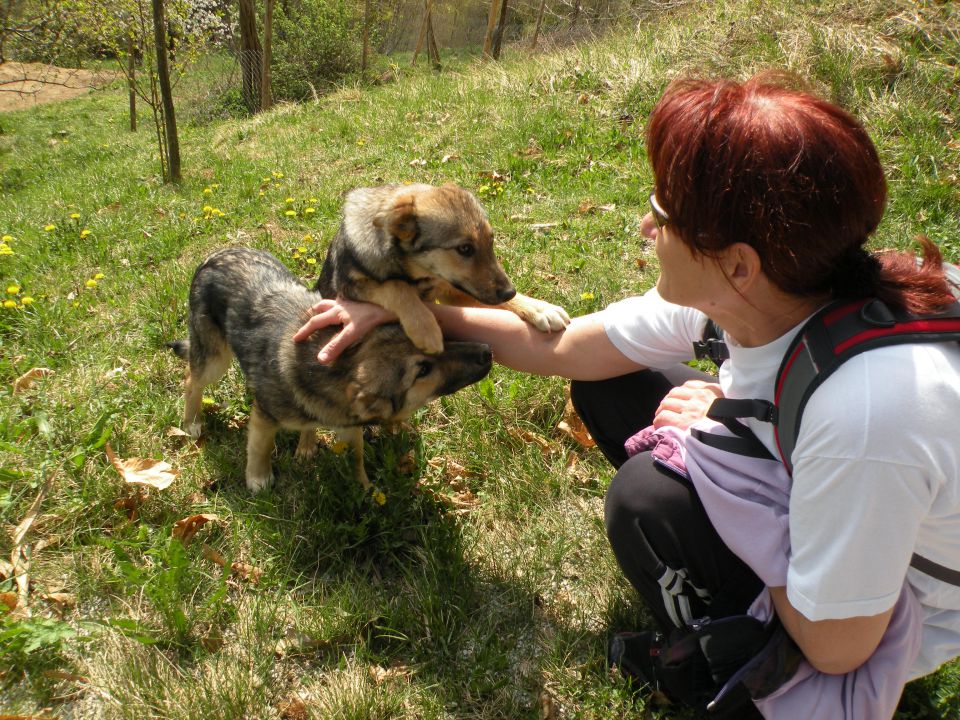 Laze 5.4.2012 - foto povečava