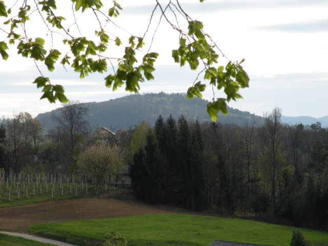 žigarski vrh, Gračka gora 11.4.12 - foto