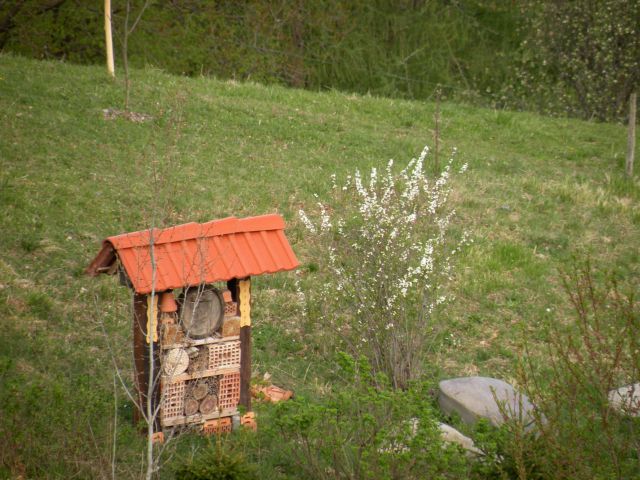 žigarski vrh, Gračka gora 11.4.12 - foto