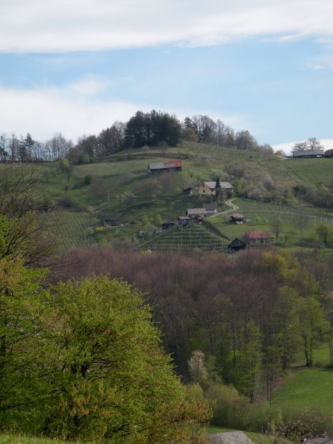 žigarski vrh, Gračka gora 11.4.12 - foto