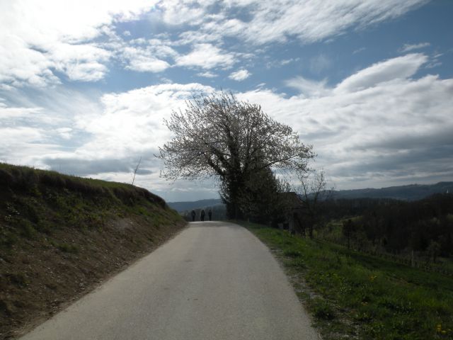 žigarski vrh, Gračka gora 11.4.12 - foto