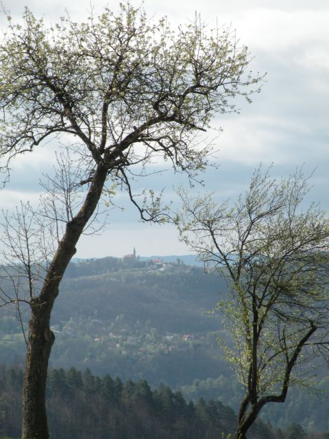 žigarski vrh, Gračka gora 11.4.12 - foto