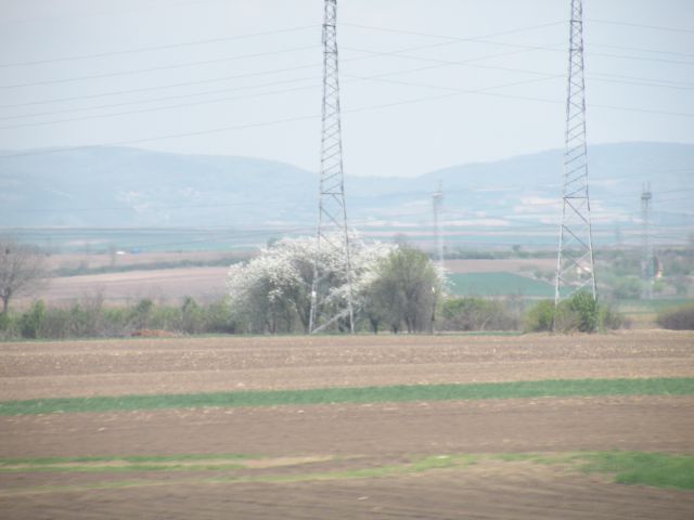 16.4.12 Beograd in Avala - foto