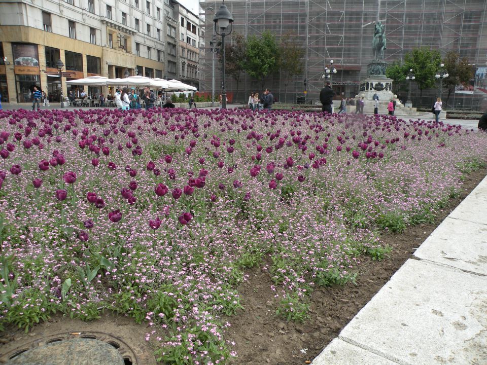 16.4.2012 Beograd - Knez Mihajlova ul. - foto povečava